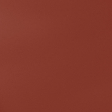 Special paint (spray)