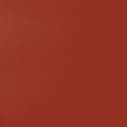 Special paint (spray)