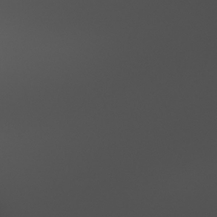 Special paint (spray)