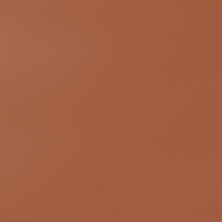 Special paint (spray)