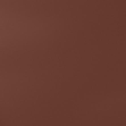 Special paint (spray)