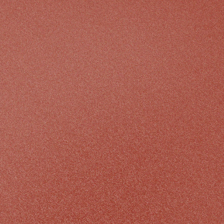 Special paint (spray)