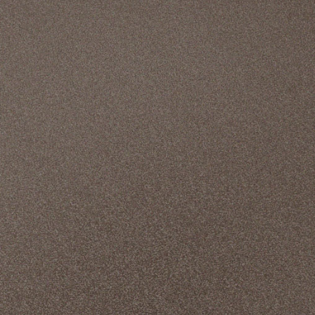 Special paint (spray)