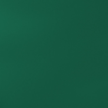 Special paint (spray)