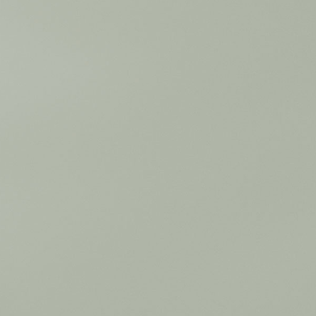 Special paint (spray)