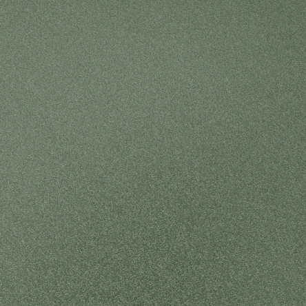 Special paint (spray)