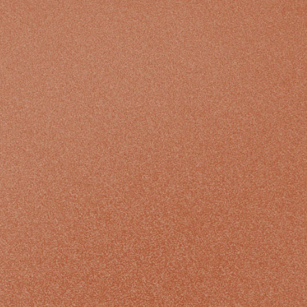 Special paint (spray)